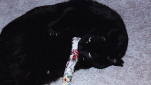 ozzie