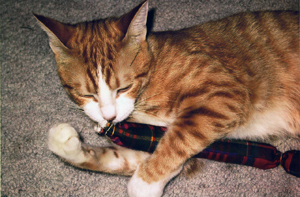 mcduff